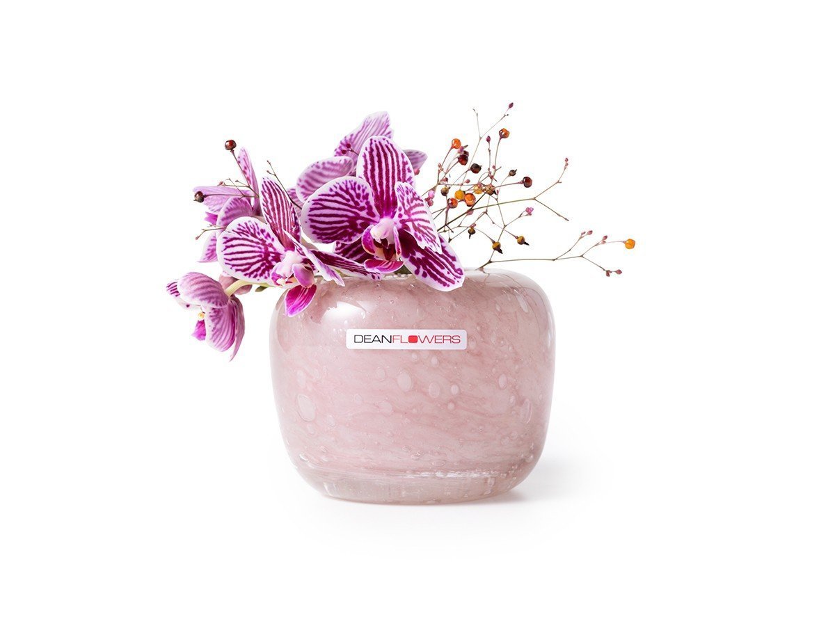 【ヘンリーディーン/Henry Dean / GOODS】のV.Drop S / V.ドロップ S(スタンダードカラー) 人気、トレンドファッション・服の通販 founy(ファニー) 　ガラス　Glass, Glassware　スタンダード　Standard, Basic　センター　Center, Center Line　ドロップ　Drop Shoulder, Dropped Style　ハンド　Hand, Handmade　バランス　Balance, Style Balance　フォルム　Silhouette, Form　フラワー　Flower, Floral　ランダム　Random, Irregular　ホーム・キャンプ・アウトドア・お取り寄せ　Home Living / Home & Lifestyle / Camping Gear / Outdoor Camping　家具・インテリア　Home Furniture & Interior. Stylish & Functional Living Spaces　その他 インテリア雑貨、家具　Home Decor & Furniture Extras　 other-1|ID: prp329100003620857 ipo3291000000033832754