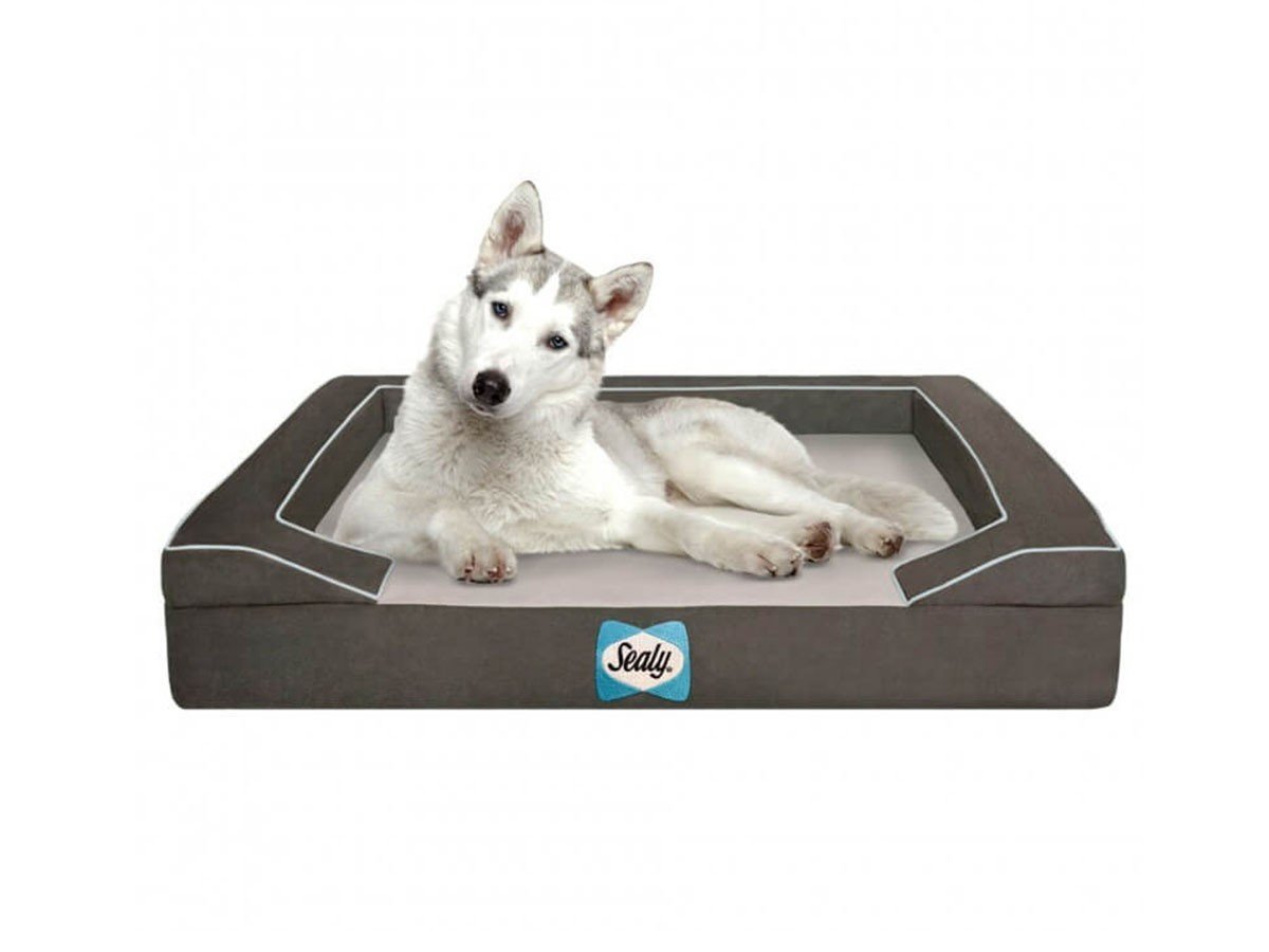 【シーリー/Sealy / GOODS】のSealy Dog Bed Lux Premium / シーリー ドッグベッド ラックスプレミアム Sサイズ 人気、トレンドファッション・服の通販 founy(ファニー) 　テクスチャー　Texture　フォーム　Form　フラット　Flat　プレミアム　Premium　送料無料　Free Shipping　犬　Dog　ホーム・キャンプ・アウトドア・お取り寄せ　Home,Garden,Outdoor,Camping Gear　家具・インテリア　Furniture　その他 インテリア雑貨、家具　Furniture, Interior, Others　 other-1|ID: prp329100003696730 ipo3291000000024310200