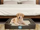 【シーリー/Sealy / GOODS】のSealy Dog Bed Lux Premium / シーリー ドッグベッド ラックスプレミアム Sサイズ 人気、トレンドファッション・服の通販 founy(ファニー) テクスチャー Texture フォーム Form フラット Flat プレミアム Premium 送料無料 Free Shipping 犬 Dog ホーム・キャンプ・アウトドア・お取り寄せ Home,Garden,Outdoor,Camping Gear 家具・インテリア Furniture その他 インテリア雑貨、家具 Furniture, Interior, Others thumbnail|ID: prp329100003696730 ipo3291000000025327716