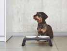 【ミアカラ/MiaCara / GOODS】のDesco Dog Feeder / デスコ ドッグフィーダー Sサイズ ブラック|ID:prp329100003861929
