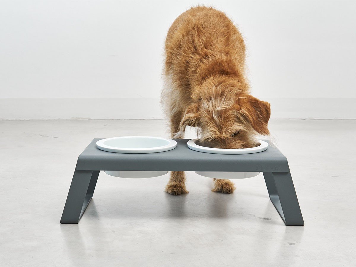 【ミアカラ/MiaCara / GOODS】のDesco Dog Feeder / デスコ ドッグフィーダー Sサイズ 人気、トレンドファッション・服の通販 founy(ファニー) 　送料無料　Free Shipping　エレガント 上品　Elegant　コーティング　Coating　シリコン　Silicon　スタンド　Stand　パウダー　Powder　犬　Dog　ホーム・キャンプ・アウトドア・お取り寄せ　Home,Garden,Outdoor,Camping Gear　家具・インテリア　Furniture　その他 インテリア雑貨、家具　Furniture, Interior, Others　 other-1|ID: prp329100003861929 ipo3291000000027288724