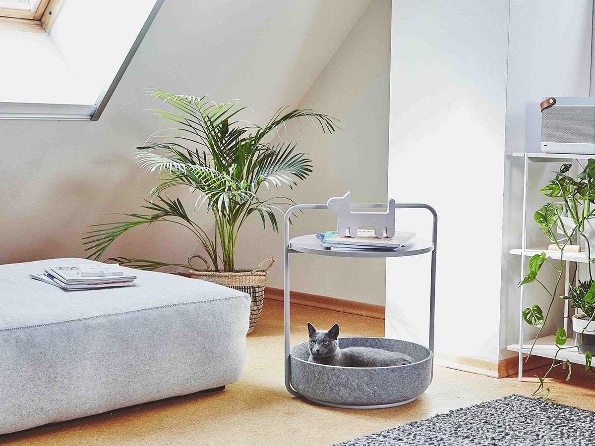 【ミアカラ/MiaCara / GOODS】のTavolino Side Table / タヴォリーノ サイドテーブル 人気、トレンドファッション・服の通販 founy(ファニー) 　送料無料　Free Shipping　テーブル　Table　バスケット　Basket　フェルト　Felt　犬　Dog　猫　Cat　雑誌　Magazine　ホーム・キャンプ・アウトドア・お取り寄せ　Home,Garden,Outdoor,Camping Gear　家具・インテリア　Home Furniture & Interior. Stylish & Functional Living Spaces　テーブル　Table　サイドテーブル・小テーブル　Side Table/Small Table　other-4|ID: prp329100003861931 ipo3291000000031482286