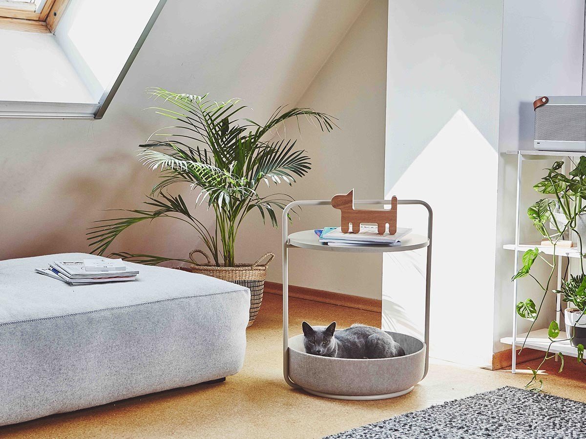 【ミアカラ/MiaCara / GOODS】のTavolino Side Table / タヴォリーノ サイドテーブル 人気、トレンドファッション・服の通販 founy(ファニー) 　送料無料　Free Shipping　テーブル　Table　バスケット　Basket　フェルト　Felt　犬　Dog　猫　Cat　雑誌　Magazine　ホーム・キャンプ・アウトドア・お取り寄せ　Home,Garden,Outdoor,Camping Gear　家具・インテリア　Home Furniture & Interior. Stylish & Functional Living Spaces　テーブル　Table　サイドテーブル・小テーブル　Side Table/Small Table　other-5|ID: prp329100003861931 ipo3291000000031482287