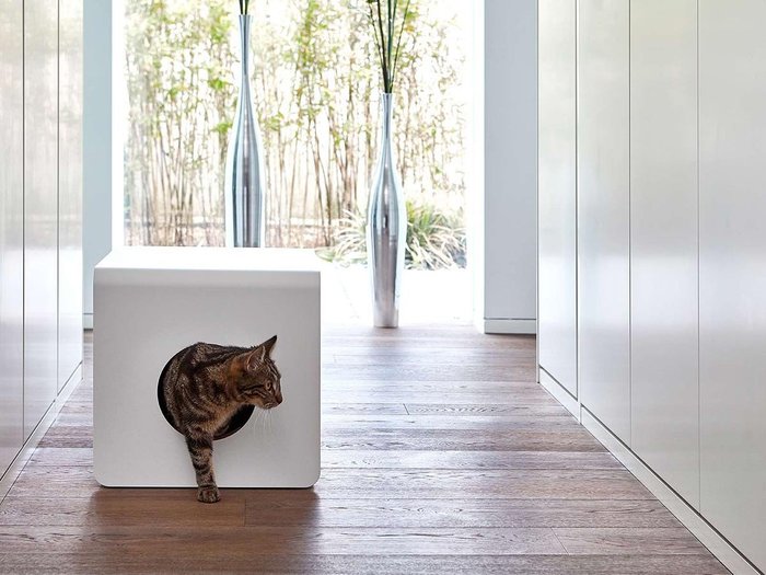【ミアカラ/MiaCara / GOODS】のSito Cat Litter Box / シート・キャットリターボックス インテリア・キッズ・メンズ・レディースファッション・服の通販 founy(ファニー) https://founy.com/ 送料無料 Free Shipping クッション Cushion ボックス Box モダン Modern 猫 Cat ホーム・キャンプ・アウトドア・お取り寄せ Home,Garden,Outdoor,Camping Gear 家具・インテリア Furniture その他 インテリア雑貨、家具 Furniture, Interior, Others |ID: prp329100003861943 ipo3291000000025409441