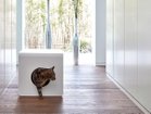 【ミアカラ/MiaCara / GOODS】のSito Cat Litter Box / シート・キャットリターボックス ホワイト、クッション:なし|ID: prp329100003861943 ipo3291000000025409442