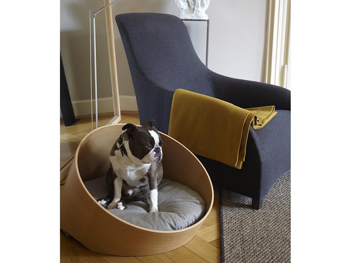 【ミアカラ/MiaCara / GOODS】のCovo Cat & Dog Bed / コーヴォ キャット & ドッグベッド 人気、トレンドファッション・服の通販 founy(ファニー) 　送料無料　Free Shipping　エレガント 上品　Elegant　クッション　Cushion　フォルム　Form　フォーム　Form　犬　Dog　猫　Cat　ホーム・キャンプ・アウトドア・お取り寄せ　Home,Garden,Outdoor,Camping Gear　家具・インテリア　Home Furniture & Interior. Stylish & Functional Living Spaces　その他 インテリア雑貨、家具　Furniture, Interior, Others　other-4|ID: prp329100003861947 ipo3291000000031469174