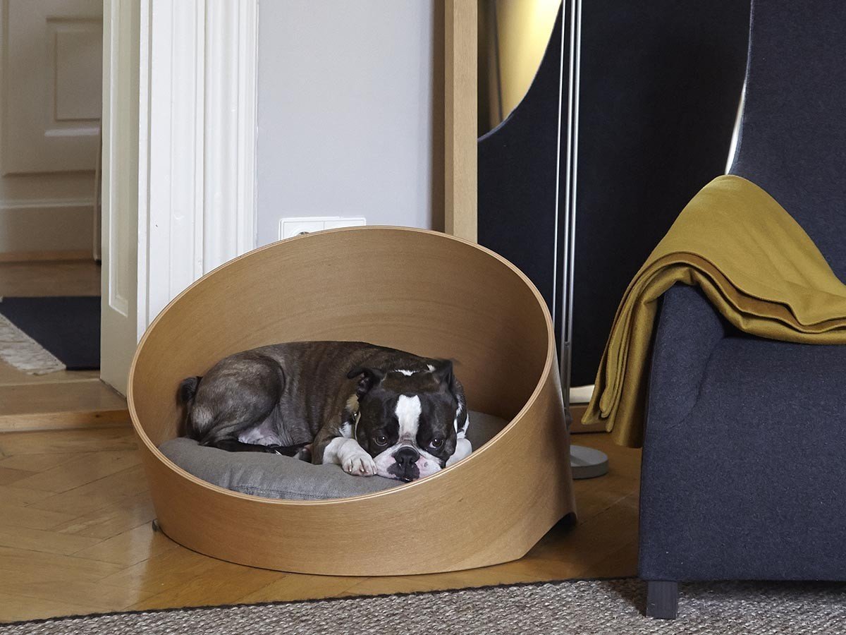 【ミアカラ/MiaCara / GOODS】のCovo Cat & Dog Bed / コーヴォ キャット & ドッグベッド 人気、トレンドファッション・服の通販 founy(ファニー) 　送料無料　Free Shipping　エレガント 上品　Elegant　クッション　Cushion　フォルム　Form　フォーム　Form　犬　Dog　猫　Cat　ホーム・キャンプ・アウトドア・お取り寄せ　Home,Garden,Outdoor,Camping Gear　家具・インテリア　Home Furniture & Interior. Stylish & Functional Living Spaces　その他 インテリア雑貨、家具　Furniture, Interior, Others　other-5|ID: prp329100003861947 ipo3291000000031469175