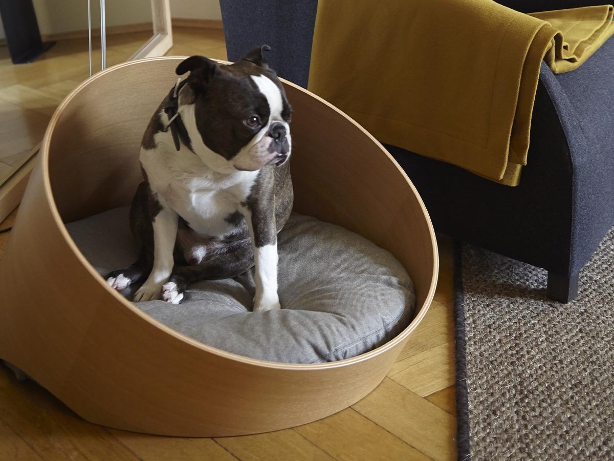 【ミアカラ/MiaCara / GOODS】のCovo Cat & Dog Bed / コーヴォ キャット & ドッグベッド 人気、トレンドファッション・服の通販 founy(ファニー) 　送料無料　Free Shipping　エレガント 上品　Elegant　クッション　Cushion　フォルム　Form　フォーム　Form　犬　Dog　猫　Cat　ホーム・キャンプ・アウトドア・お取り寄せ　Home,Garden,Outdoor,Camping Gear　家具・インテリア　Home Furniture & Interior. Stylish & Functional Living Spaces　その他 インテリア雑貨、家具　Furniture, Interior, Others　other-6|ID: prp329100003861947 ipo3291000000031469176