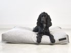 【ミアカラ/MiaCara / GOODS】のCalma Dog Cushion / カルマ ドッグクッション Sサイズ ペブル|ID:prp329100003861952