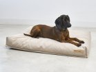【ミアカラ/MiaCara / GOODS】のCalma Dog Cushion / カルマ ドッグクッション Sサイズ サンド|ID:prp329100003861952