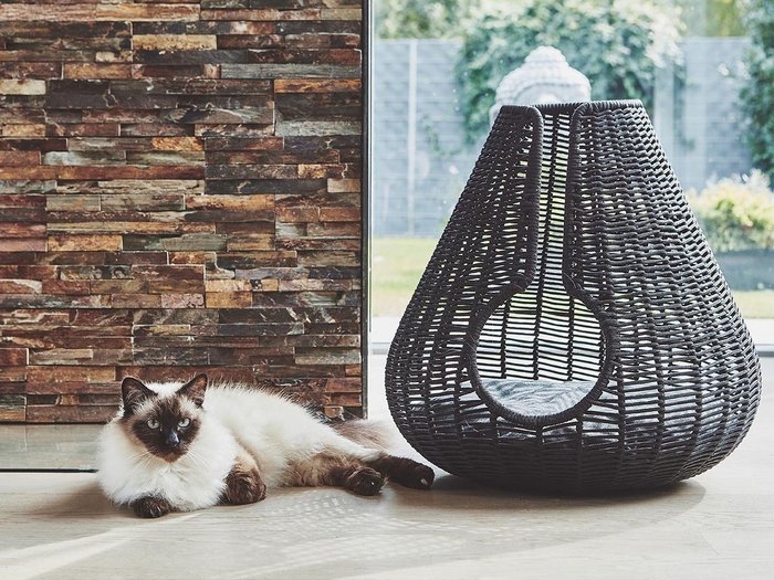 【ミアカラ/MiaCara / GOODS】のPerla Cat Cave / ペーラ キャットケイブ インテリア・キッズ・メンズ・レディースファッション・服の通販 founy(ファニー) https://founy.com/ エレガント 上品 Elegant クッション Cushion, Throw Pillow 猫 Cat, Kitty ハンド Hand, Handmade バスケット Basket, Basket Bag フォーム Form 送料無料 Free Shipping ホーム・キャンプ・アウトドア・お取り寄せ Home Living / Home & Lifestyle / Camping Gear / Outdoor Camping 家具・インテリア Home Furniture & Interior. Stylish & Functional Living Spaces その他 インテリア雑貨、家具 Home Decor & Furniture Extras |ID: prp329100003861956 ipo3291000000030222600