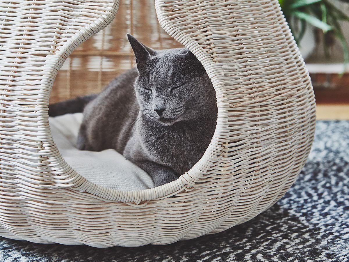 【ミアカラ/MiaCara / GOODS】のPerla Cat Cave / ペーラ キャットケイブ 人気、トレンドファッション・服の通販 founy(ファニー) 　エレガント 上品　Elegant　クッション　Cushion　猫　Cat　ハンド　Hand　バスケット　Basket　フォーム　Form　送料無料　Free Shipping　ホーム・キャンプ・アウトドア・お取り寄せ　Home,Garden,Outdoor,Camping Gear　家具・インテリア　Home Furniture & Interior. Stylish & Functional Living Spaces　その他 インテリア雑貨、家具　Furniture, Interior, Others　other-5|ID: prp329100003861956 ipo3291000000031482352