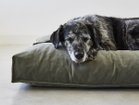 【ミアカラ/MiaCara / GOODS】のVelluto Dog Cushion / ヴェルート ドッグクッション Sサイズ セージ|ID:prp329100003861958