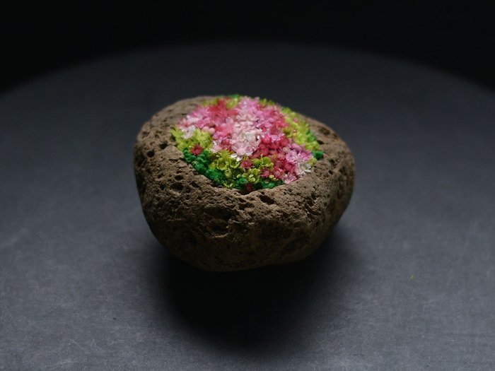 【雨/Ame / GOODS】の景色風 - keshikifu - / 景色風(香り / 彩風) インテリア・キッズ・メンズ・レディースファッション・服の通販 founy(ファニー) https://founy.com/ 送料無料 Free Shipping オイル Oil フラワー Flower 鹿児島 Kagoshima ホーム・キャンプ・アウトドア・お取り寄せ Home,Garden,Outdoor,Camping Gear 家具・インテリア Furniture その他 インテリア雑貨、家具 Furniture, Interior, Others |ID: prp329100003866357 ipo3291000000030210850