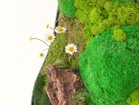 thumbnail other-6