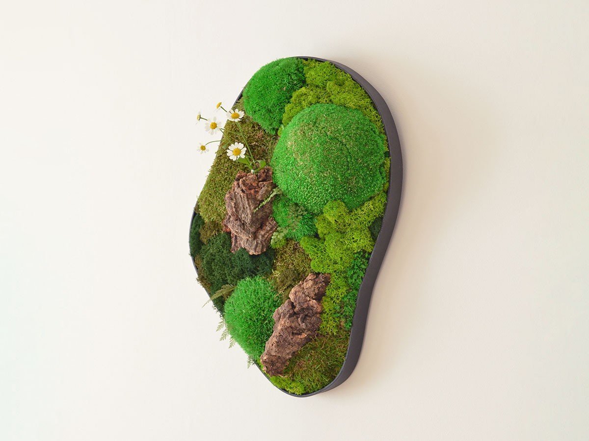 【雨/Ame / GOODS】の時山 - tokiyama - / 時山 壁 中 人気、トレンドファッション・服の通販 founy(ファニー) 　送料無料　Free Shipping　ガラス　Glass, Glassware　フレーム　Frame, Outline　軽量　Lightweight, Ultra Light　ホーム・キャンプ・アウトドア・お取り寄せ　Home Living / Home & Lifestyle / Camping Gear / Outdoor Camping　家具・インテリア　Home Furniture & Interior. Stylish & Functional Living Spaces　その他 インテリア雑貨、家具　Home Decor & Furniture Extras　other-5|ID: prp329100003866360 ipo3291000000031481910