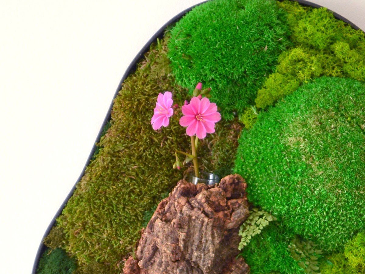 【雨/Ame / GOODS】の時山 - tokiyama - / 時山 壁 中 人気、トレンドファッション・服の通販 founy(ファニー) 　送料無料　Free Shipping　ガラス　Glass, Glassware　フレーム　Frame, Outline　軽量　Lightweight, Ultra Light　ホーム・キャンプ・アウトドア・お取り寄せ　Home Living / Home & Lifestyle / Camping Gear / Outdoor Camping　家具・インテリア　Home Furniture & Interior. Stylish & Functional Living Spaces　その他 インテリア雑貨、家具　Home Decor & Furniture Extras　other-6|ID: prp329100003866360 ipo3291000000031481912