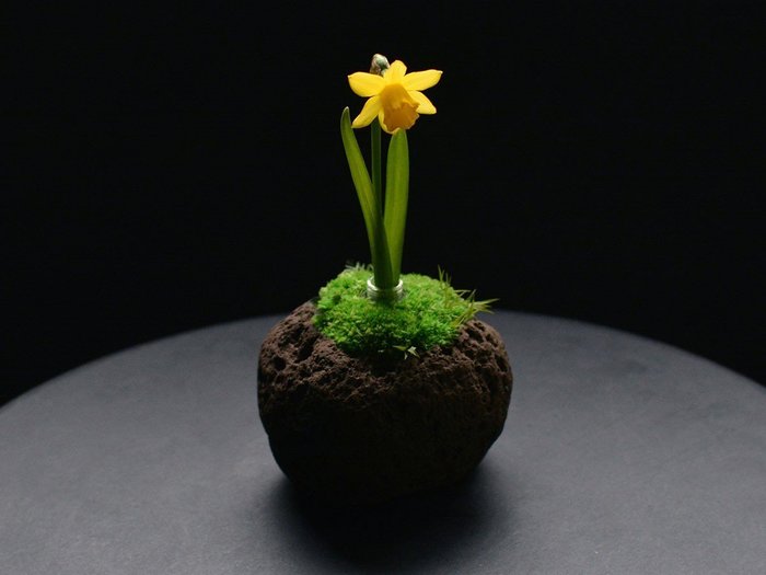 【雨/Ame / GOODS】の時山 - tokiyama - / 時山 浮石 小 インテリア・キッズ・メンズ・レディースファッション・服の通販 founy(ファニー) https://founy.com/ 送料無料 Free Shipping ガラス Glass, Glassware フラワー Flower, Floral ホーム・キャンプ・アウトドア・お取り寄せ Home Living / Home & Lifestyle / Camping Gear / Outdoor Camping 家具・インテリア Home Furniture & Interior. Stylish & Functional Living Spaces その他 インテリア雑貨、家具 Home Decor & Furniture Extras |ID: prp329100003866362 ipo3291000000030210972