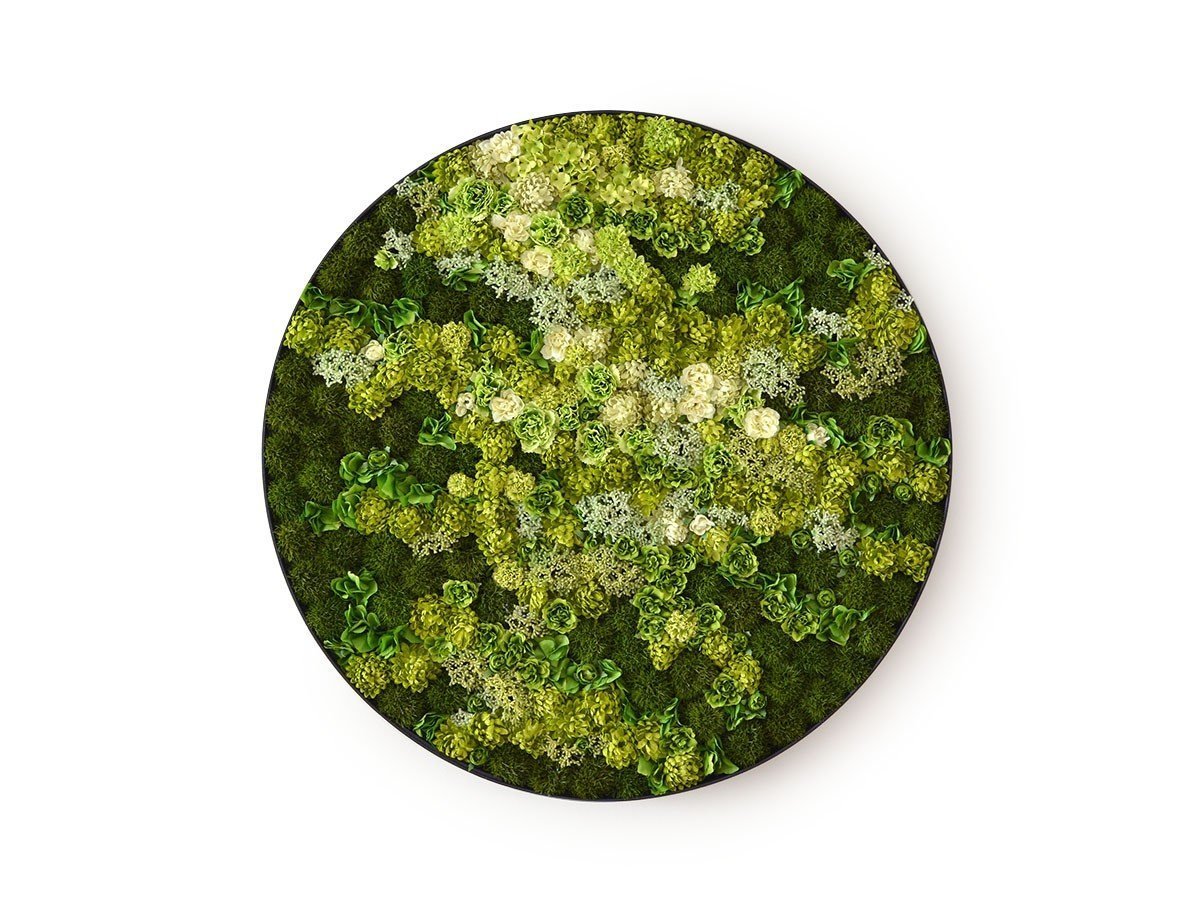 【雨/Ame / GOODS】の円窓 - marumado - / 円窓 直径60cm インテリア・キッズ・メンズ・レディースファッション・服の通販 founy(ファニー) 送料無料 Free Shipping バランス Balance, Style Balance フラワー Flower, Floral フレーム Frame, Outline 軽量 Lightweight, Ultra Light ホーム・キャンプ・アウトドア・お取り寄せ Home Living / Home & Lifestyle / Camping Gear / Outdoor Camping 家具・インテリア Home Furniture & Interior. Stylish & Functional Living Spaces その他 インテリア雑貨、家具 Home Decor & Furniture Extras カラーパターン:若草|ID: prp329100003866367 ipo3291000000030211268