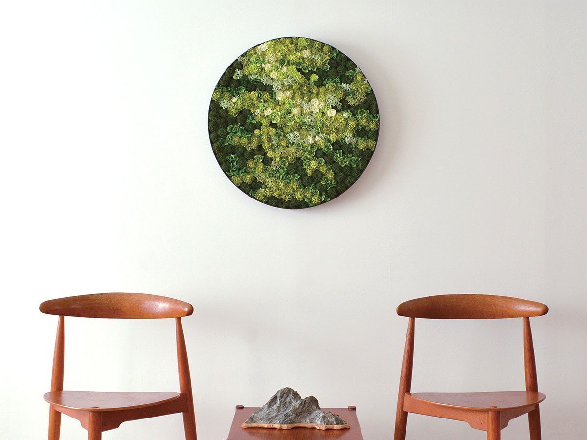 【雨/Ame / GOODS】の円窓 - marumado - / 円窓 直径60cm インテリア・キッズ・メンズ・レディースファッション・服の通販 founy(ファニー) 送料無料 Free Shipping バランス Balance, Style Balance フラワー Flower, Floral フレーム Frame, Outline 軽量 Lightweight, Ultra Light ホーム・キャンプ・アウトドア・お取り寄せ Home Living / Home & Lifestyle / Camping Gear / Outdoor Camping 家具・インテリア Home Furniture & Interior. Stylish & Functional Living Spaces その他 インテリア雑貨、家具 Home Decor & Furniture Extras カラーパターン:若草|ID: prp329100003866367 ipo3291000000030211313