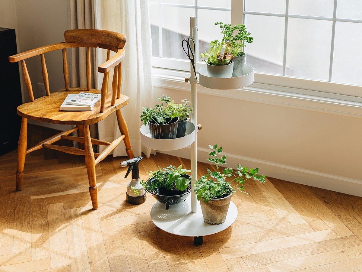 【ドロー ア ライン/DRAW A LINE / GOODS】のMoving Planter Rack Set / うごくプランターラック セット インテリア・キッズ・メンズ・レディースファッション・服の通販 founy(ファニー) 　アクセサリー　Accessories　マグネット　Magnet　送料無料　Free Shipping　ホーム・キャンプ・アウトドア・お取り寄せ　Home,Garden,Outdoor,Camping Gear　家具・インテリア　Furniture　収納家具・キャビネット　Storage Furniture　ラック・シェルフ　Rack Shelf　ホーム・キャンプ・アウトドア・お取り寄せ　Home,Garden,Outdoor,Camping Gear　家具・インテリア　Furniture　収納家具・キャビネット　Storage Furniture　ワゴン・チェストワゴン　Wagon/Chest Wagon　ホワイト|ID: prp329100003874531 ipo3291000000030188721