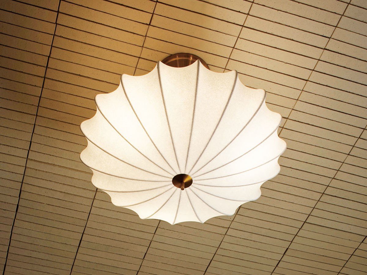 【フライミーパーラー/FLYMEe Parlor / GOODS】のCeiling Light / シーリングライト #116224 人気、トレンドファッション・服の通販 founy(ファニー) 　送料無料　Free Shipping　フォルム　Form　フレーム　Flame　ワイヤー　Wire　ホーム・キャンプ・アウトドア・お取り寄せ　Home,Garden,Outdoor,Camping Gear　家具・インテリア　Home Furniture & Interior. Stylish & Functional Living Spaces　ライト・照明　Lighting & Light Fixtures　シーリングライト　Ceiling Light　other-6|ID: prp329100003899289 ipo3291000000031480212