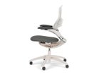 【ノルオフィス/Knoll Office / GOODS】のGeneration Chair / ジェネレーション チェア ハイパフォーマンス肘 張地:03 ぺブル(Base Faic)、バックネット:02 メティア、フレーム:ライト、脚部:樹脂|ID:prp329100003900358