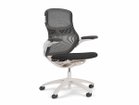 【ノルオフィス/Knoll Office / GOODS】のGeneration Chair / ジェネレーション チェア ハイパフォーマンス肘 張地:01 ストーム(Base Faic)、バックネット:01 ストーム、フレーム:ライト、脚部:樹|ID: prp329100003900358 ipo3291000000032500670