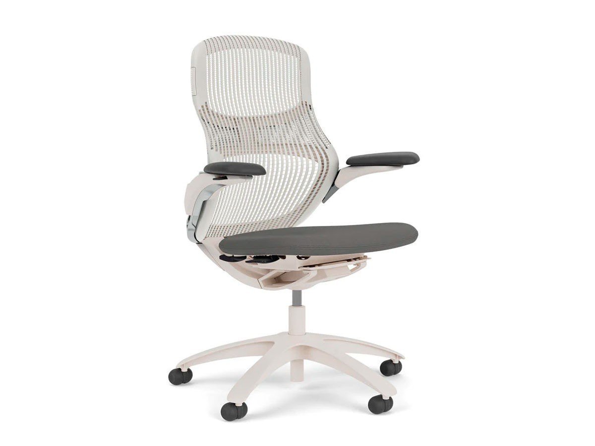 【ノルオフィス/Knoll Office / GOODS】のGeneration Chair / ジェネレーション チェア ハイパフォーマンス肘 インテリア・キッズ・メンズ・レディースファッション・服の通販 founy(ファニー) 　ストレッチ　Stretch　パターン　Pattern　パフォーマンス　Performance　フォーマル　Formal　フレーム　Flame　ワーク　Work　送料無料　Free Shipping　ビジネス 仕事 通勤　Business　ホーム・キャンプ・アウトドア・お取り寄せ　Home,Garden,Outdoor,Camping Gear　家具・インテリア　Home Furniture & Interior. Stylish & Functional Living Spaces　チェア・椅子　Chair　オフィスチェア・デスクチェア　Office Chair/Desk Chair　張地:03 ぺブル(Base Faic)、バックネット:02 メティア、フレーム:ライト、脚部:樹脂|ID: prp329100003900358 ipo3291000000032500672