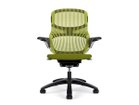 【ノルオフィス/Knoll Office / GOODS】のGeneration Chair / ジェネレーション チェア ハイパフォーマンス肘 張地:05 レモングラス(Base Faic)、バックネット:05 レモングラス、フレーム:ダーク、|ID: prp329100003900358 ipo3291000000032500709