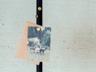 thumbnail other-5