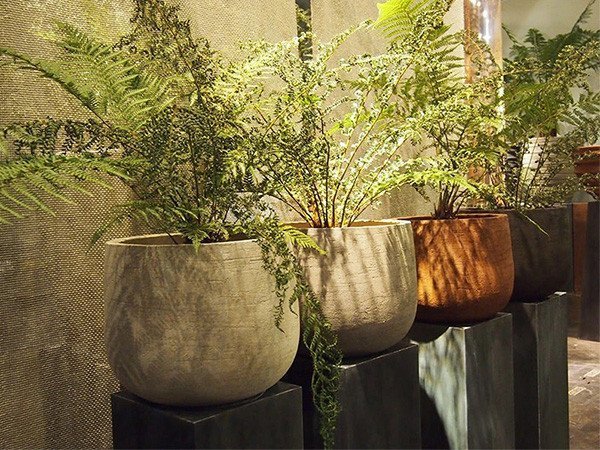 【ドマーニ/DOMANI / GOODS】のGraz / グラーツ 人気、トレンドファッション・服の通販 founy(ファニー) 　シンプル　Simple　スタンダード　Standard　テクスチャー　Texture　バランス　Balance　フォルム　Form　モダン　Modern　冬　Winter　ホーム・キャンプ・アウトドア・お取り寄せ　Home,Garden,Outdoor,Camping Gear　家具・インテリア　Home Furniture & Interior. Stylish & Functional Living Spaces　その他 インテリア雑貨、家具　Furniture, Interior, Others　other-3|ID: prp329100003955290 ipo3291000000031463366
