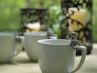 thumbnail other-3