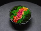 【雨/Ame / GOODS】の花山 - Hanayama - / 花山 プリザーブドフラワー 小の小 カラーパターン:うつろい山|ID: prp329100004047594 ipo3291000000027114976