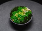 【雨/Ame / GOODS】の花山 - Hanayama - / 花山 プリザーブドフラワー 小の小 カラーパターン:ときわ山|ID: prp329100004047594 ipo3291000000027114979