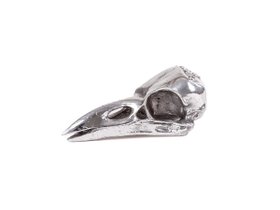 【ディーゼルリビング ウィズ セレッティ/DIESEL LIVING with SELETTI / GOODS】のWUNDERKAMMER BIRD SKULL - CROW UP / ワンダーカマー バードスカル 人気、トレンドファッション・服の通販 founy(ファニー) イタリア Italy ダメージ Damage デスク Desk モチーフ Motif |ID:prp329100004047595