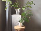 【ジョージ ジェンセン/GEORG JENSEN / GOODS】のBLOOM BOTANICA FLOWER POT / ブルーム ボタニカ フラワーポット L 参考イメージ (上:Mサイズ、下:Sサイズ)|ID: prp329100004049673 ipo3291000000027155172