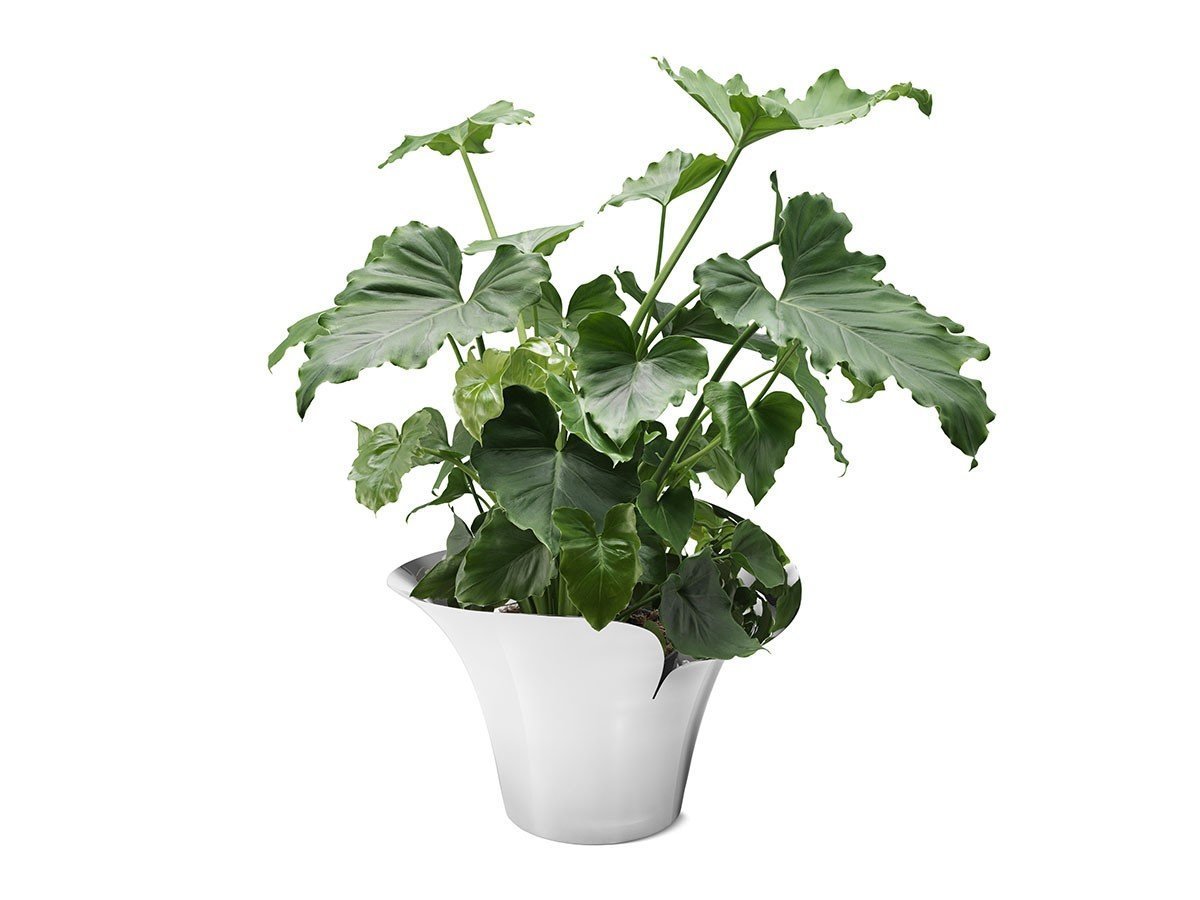 【ジョージ ジェンセン/GEORG JENSEN / GOODS】のBLOOM BOTANICA FLOWER POT / ブルーム ボタニカ フラワーポット L 人気、トレンドファッション・服の通販 founy(ファニー) 　送料無料　Free Shipping　スタイリッシュ　Stylish　フォルム　Form　フラワー　Flower　ホーム・キャンプ・アウトドア・お取り寄せ　Home,Garden,Outdoor,Camping Gear　家具・インテリア　Home Furniture & Interior. Stylish & Functional Living Spaces　その他 インテリア雑貨、家具　Furniture, Interior, Others　other-2|ID: prp329100004049673 ipo3291000000031473983