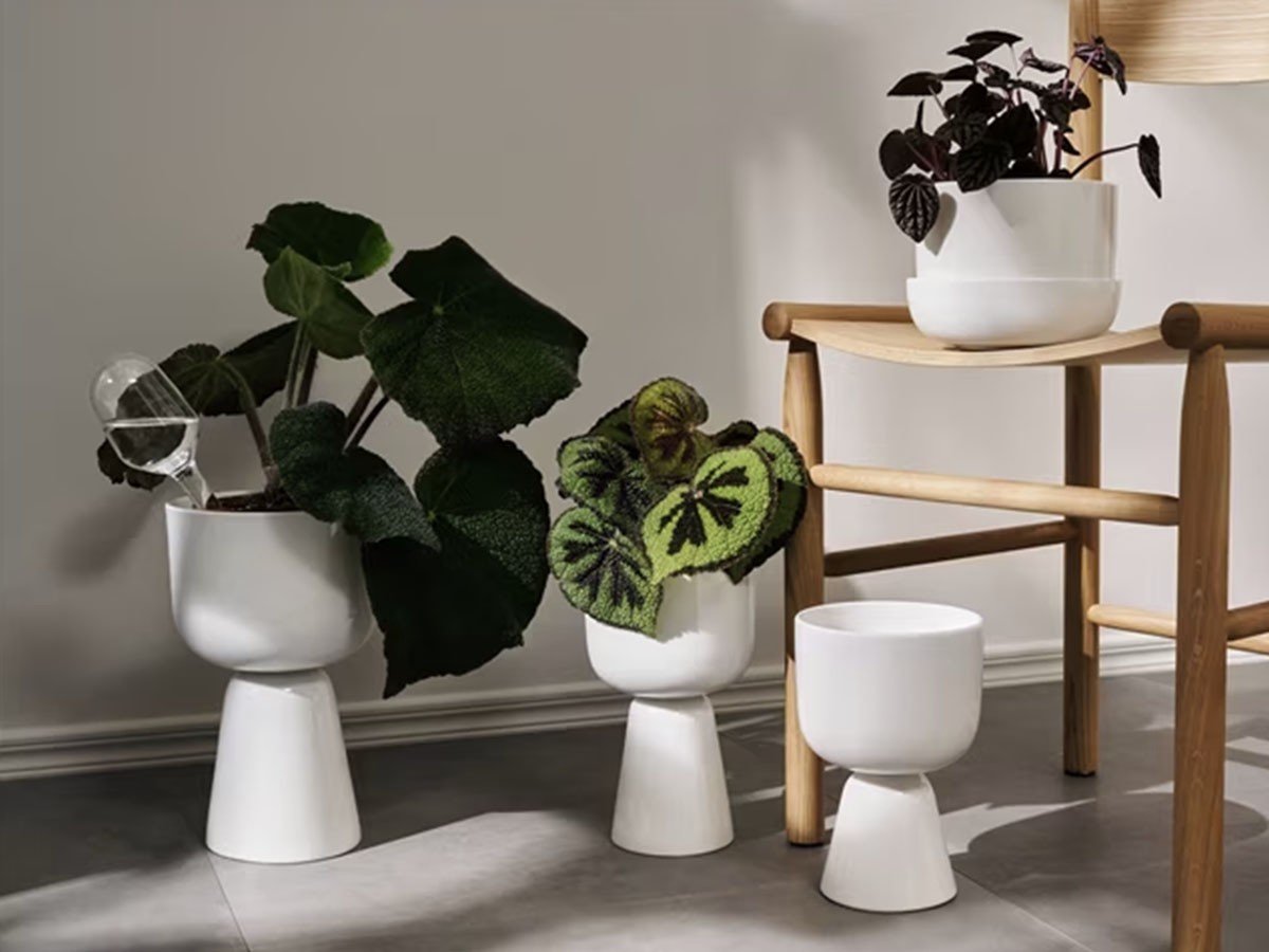 【イッタラ/iittala / GOODS】のNappula Plant Pot / ナップラ プラントポット 260 × 155(ホワイト) 人気、トレンドファッション・服の通販 founy(ファニー) 送料無料 Free Shipping クラシック Classic, Timeless Style シェイプ Shape, Slim Fit シンプル Simple, Minimal フィット Fit, Slim Fit モダン Modern, Contemporary ホーム・キャンプ・アウトドア・お取り寄せ Home Living / Home & Lifestyle / Camping Gear / Outdoor Camping 家具・インテリア Home Furniture & Interior. Stylish & Functional Living Spaces その他 インテリア雑貨、家具 Home Decor & Furniture Extras other-2|ID: prp329100004052045 ipo3291000000031473827