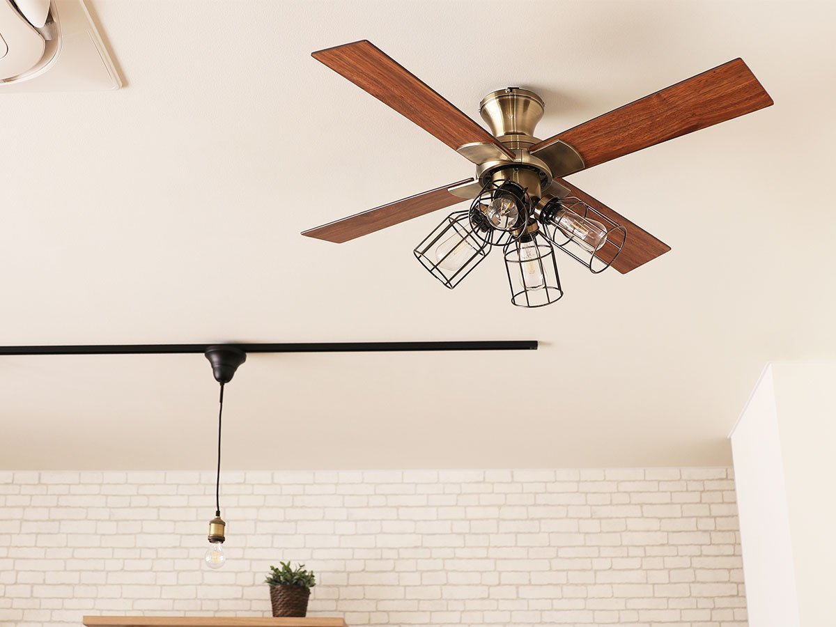 【フライミーパーラー/FLYMEe Parlor / GOODS】のCeiling Fan / シーリングファン #101364 人気、トレンドファッション・服の通販 founy(ファニー) 　パターン　Pattern, Design Print　ブレード　Braid, Decorative Trim　リバーシブル　Reversible, Two-Sided　冬　Winter / This Winter　送料無料　Free Shipping　夏　Summer　ホーム・キャンプ・アウトドア・お取り寄せ　Home Living / Home & Lifestyle / Camping Gear / Outdoor Camping　家具・インテリア　Home Furniture & Interior. Stylish & Functional Living Spaces　ライト・照明　Lamps & Lighting Fixtures　other-4|ID: prp329100004150801 ipo3291000000031470788