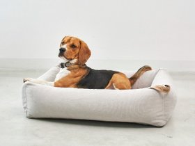 【ミアカラ/MiaCara / GOODS】のComodo Box Bed S / コモド ボックスベッド S 人気、トレンドファッション・服の通販 founy(ファニー) 送料無料 Free Shipping クッション Cushion, Throw Pillow シンプル Simple, Minimal テクスチャー Texture, Textured Fabric ボックス Boxy, Box Shape モダン Modern, Contemporary 犬 Dog ホーム・キャンプ・アウトドア・お取り寄せ Home Living / Home & Lifestyle / Camping Gear / Outdoor Camping 家具・インテリア Home Furniture & Interior. Stylish & Functional Living Spaces その他 インテリア雑貨、家具 Home Decor & Furniture Extras |ID:prp329100004196039