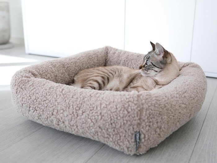 【ミアカラ/MiaCara / GOODS】のSenso Cat Bed / センソ キャットベッド インテリア・キッズ・メンズ・レディースファッション・服の通販 founy(ファニー) https://founy.com/ 送料無料 Free Shipping ボックス Box 猫 Cat ホーム・キャンプ・アウトドア・お取り寄せ Home,Garden,Outdoor,Camping Gear 家具・インテリア Furniture その他 インテリア雑貨、家具 Furniture, Interior, Others |ID: prp329100004196043 ipo3291000000029065563