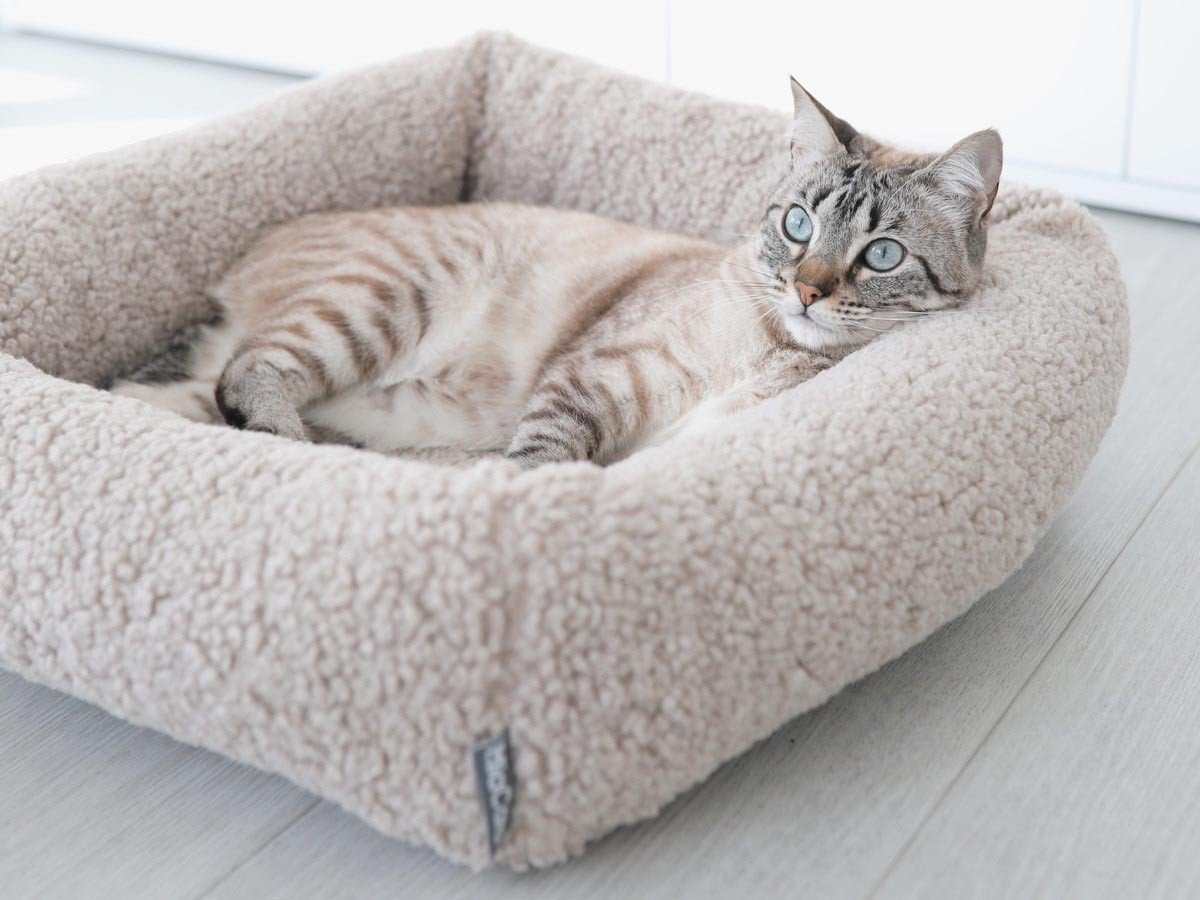 【ミアカラ/MiaCara / GOODS】のSenso Cat Bed / センソ キャットベッド 人気、トレンドファッション・服の通販 founy(ファニー) 　送料無料　Free Shipping　ボックス　Box　猫　Cat　ホーム・キャンプ・アウトドア・お取り寄せ　Home,Garden,Outdoor,Camping Gear　家具・インテリア　Home Furniture & Interior. Stylish & Functional Living Spaces　その他 インテリア雑貨、家具　Furniture, Interior, Others　other-4|ID: prp329100004196043 ipo3291000000031469189