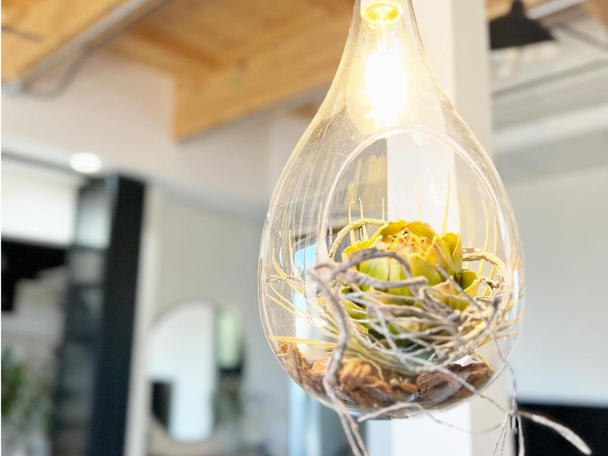 【フライミーパーラー/FLYMEe Parlor / GOODS】のBOTANIC Hanging light with FAKEGREEN / ボタニック ハンギングライト フェイクグリーン付 L / FGJ 人気、トレンドファッション・服の通販 founy(ファニー) 　送料無料　Free Shipping　オーガニック　Organic Cotton　リアル　Real, Realistic　ホーム・キャンプ・アウトドア・お取り寄せ　Home Living / Home & Lifestyle / Camping Gear / Outdoor Camping　家具・インテリア　Home Furniture & Interior. Stylish & Functional Living Spaces　ライト・照明　Lamps & Lighting Fixtures　ペンダントライト・吊り下げ照明　Pendant Light / Hanging Light Fixture　other-6|ID: prp329100004214085 ipo3291000000031468019