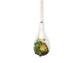 【フライミーパーラー/FLYMEe Parlor / GOODS】のBOTANIC Hanging light with FAKEGREEN / ボタニック ハンギングライト フェイクグリーン付 M / FGL 人気、トレンドファッション・服の通販 founy(ファニー) 送料無料 Free Shipping オーガニック Organic リアル Real ホーム・キャンプ・アウトドア・お取り寄せ Home,Garden,Outdoor,Camping Gear 家具・インテリア Furniture ライト・照明 Lighting & Light Fixtures ペンダントライト Pendant Light |ID:prp329100004214087