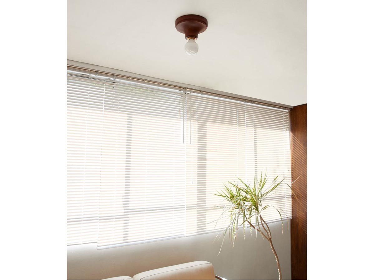 【アクメファニチャー /ACME Furniture / GOODS】のIRVIN CEILING LAMP / アーヴィン シーリングランプ 人気、トレンドファッション・服の通販 founy(ファニー) 　送料無料　Free Shipping　おすすめ　Recommend　ホーム・キャンプ・アウトドア・お取り寄せ　Home,Garden,Outdoor,Camping Gear　家具・インテリア　Furniture　ライト・照明　Lighting & Light Fixtures　シーリングライト　Ceiling Light　other-2|ID: prp329100004238381 ipo3291000000031467282