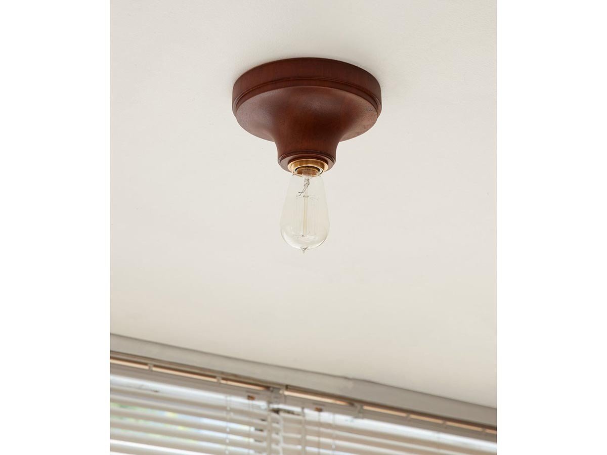 【アクメファニチャー /ACME Furniture / GOODS】のIRVIN CEILING LAMP / アーヴィン シーリングランプ 人気、トレンドファッション・服の通販 founy(ファニー) 　送料無料　Free Shipping　おすすめ　Recommend　ホーム・キャンプ・アウトドア・お取り寄せ　Home,Garden,Outdoor,Camping Gear　家具・インテリア　Furniture　ライト・照明　Lighting & Light Fixtures　シーリングライト　Ceiling Light　other-3|ID: prp329100004238381 ipo3291000000031467283