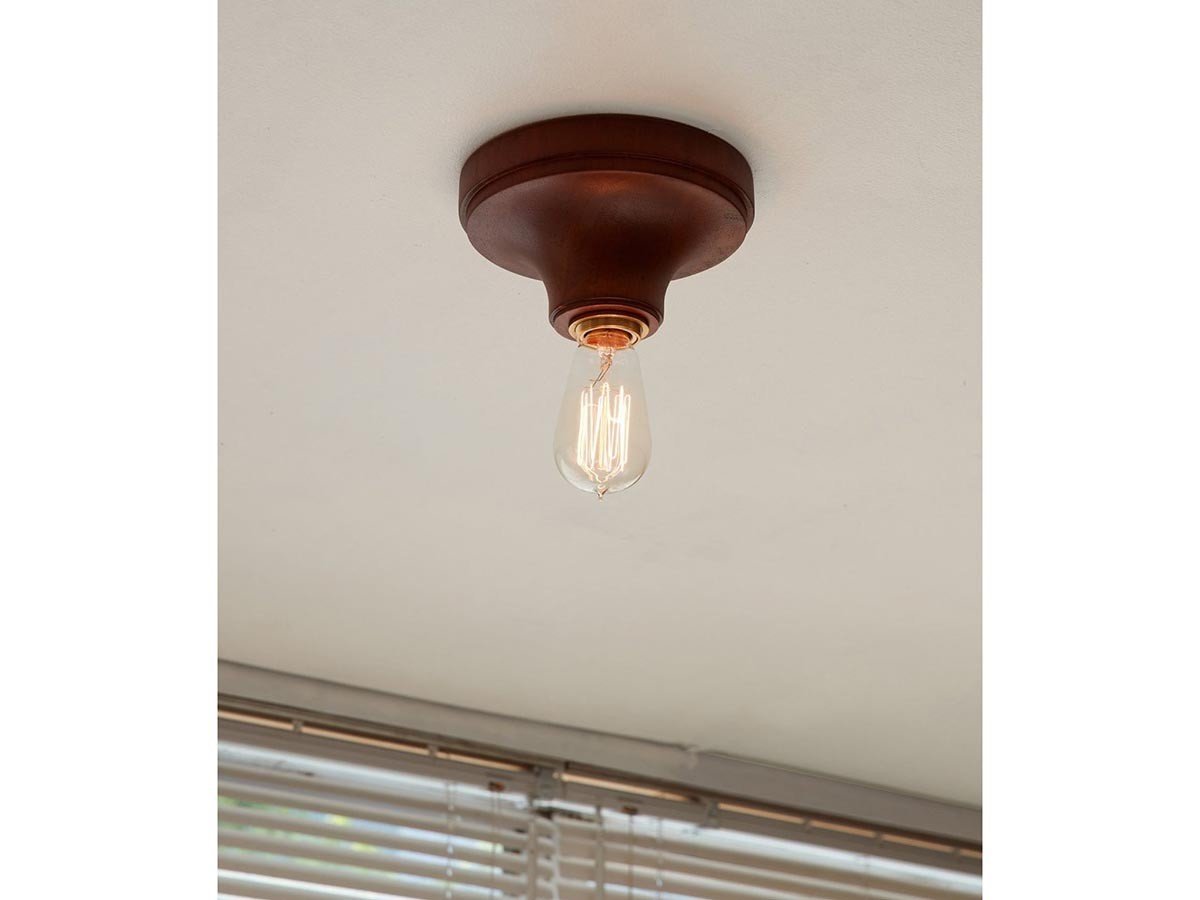 【アクメファニチャー /ACME Furniture / GOODS】のIRVIN CEILING LAMP / アーヴィン シーリングランプ 人気、トレンドファッション・服の通販 founy(ファニー) 　送料無料　Free Shipping　おすすめ　Recommend　ホーム・キャンプ・アウトドア・お取り寄せ　Home,Garden,Outdoor,Camping Gear　家具・インテリア　Furniture　ライト・照明　Lighting & Light Fixtures　シーリングライト　Ceiling Light　other-4|ID: prp329100004238381 ipo3291000000031467284
