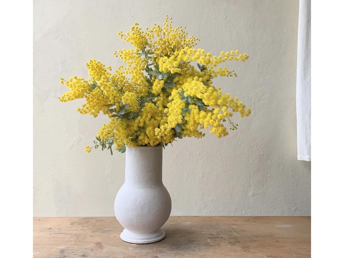 【ミシンポタリークリエーション/MISHIM POTTERY CREATION / GOODS】のStiLL flowervase / スティル フラワーベース(胡粉) 人気、トレンドファッション・服の通販 founy(ファニー) 　テクスチャー　Texture, Textured Fabric　バランス　Balance, Style Balance　フラワー　Flower, Floral　送料無料　Free Shipping　ホーム・キャンプ・アウトドア・お取り寄せ　Home Living / Home & Lifestyle / Camping Gear / Outdoor Camping　家具・インテリア　Home Furniture & Interior. Stylish & Functional Living Spaces　その他 インテリア雑貨、家具　Home Decor & Furniture Extras　other-2|ID: prp329100004239759 ipo3291000000031467272