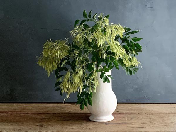 【ミシンポタリークリエーション/MISHIM POTTERY CREATION / GOODS】のStiLL flowervase / スティル フラワーベース(胡粉) 人気、トレンドファッション・服の通販 founy(ファニー) 　テクスチャー　Texture, Textured Fabric　バランス　Balance, Style Balance　フラワー　Flower, Floral　送料無料　Free Shipping　ホーム・キャンプ・アウトドア・お取り寄せ　Home Living / Home & Lifestyle / Camping Gear / Outdoor Camping　家具・インテリア　Home Furniture & Interior. Stylish & Functional Living Spaces　その他 インテリア雑貨、家具　Home Decor & Furniture Extras　other-4|ID: prp329100004239759 ipo3291000000031467274